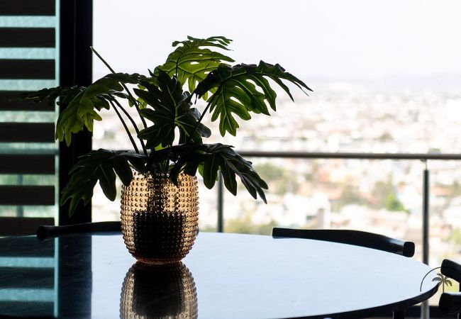 Apartamento en Mazatlán - Elegante departamento familiar en el Malecón Apartamento en Mazatlán - Elegante departamento familiar en el Malecón