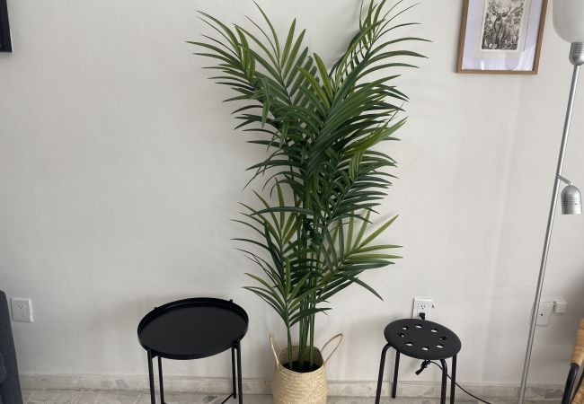 Apartamento en Mazatlán - Ecosuite 2 en parque ciudades hermanas y centro! Apartamento en Mazatlán - Ecosuite 2 en parque ciudades hermanas y centro!