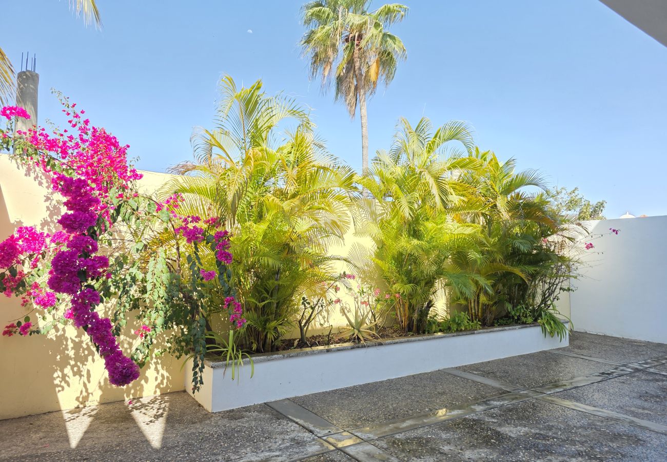 Apartamento en Mazatlán - Cerritos: Depto. Amplio con Alberca 🌊