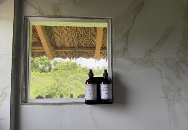 Cabin in Celestino Gazca Villaseñor - Surf and Nature Retreat – Celestino Gazca Cabin in Celestino Gazca Villaseñor - Surf and Nature Retreat – Celestino Gazca